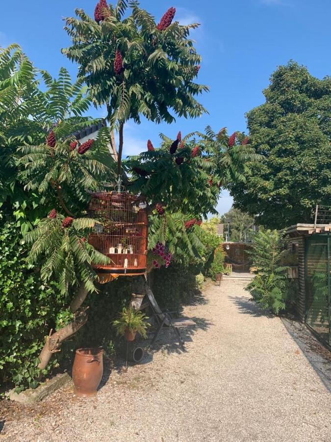 Oostvoornsch Gastenverblijf Oostvoorne Εξωτερικό φωτογραφία