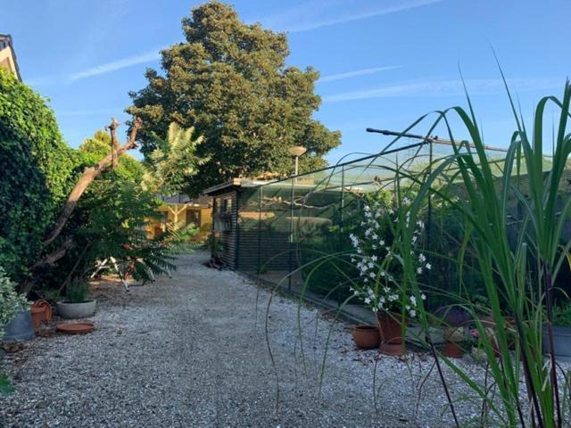 Oostvoornsch Gastenverblijf Oostvoorne Εξωτερικό φωτογραφία